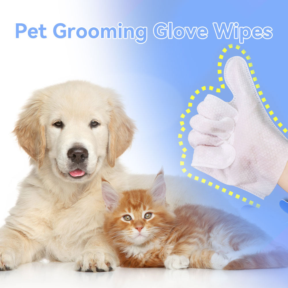 Cleaning Wipes Gloves for Dog and Cat,Pet Bathing Wipes Cleaning & Deodorizing,Dog Wipes for Body Paws Butt Daily Care,Cat Grooming Wipes Cleaning Fur Traveling Rinse Free,6Pcs-1Pack