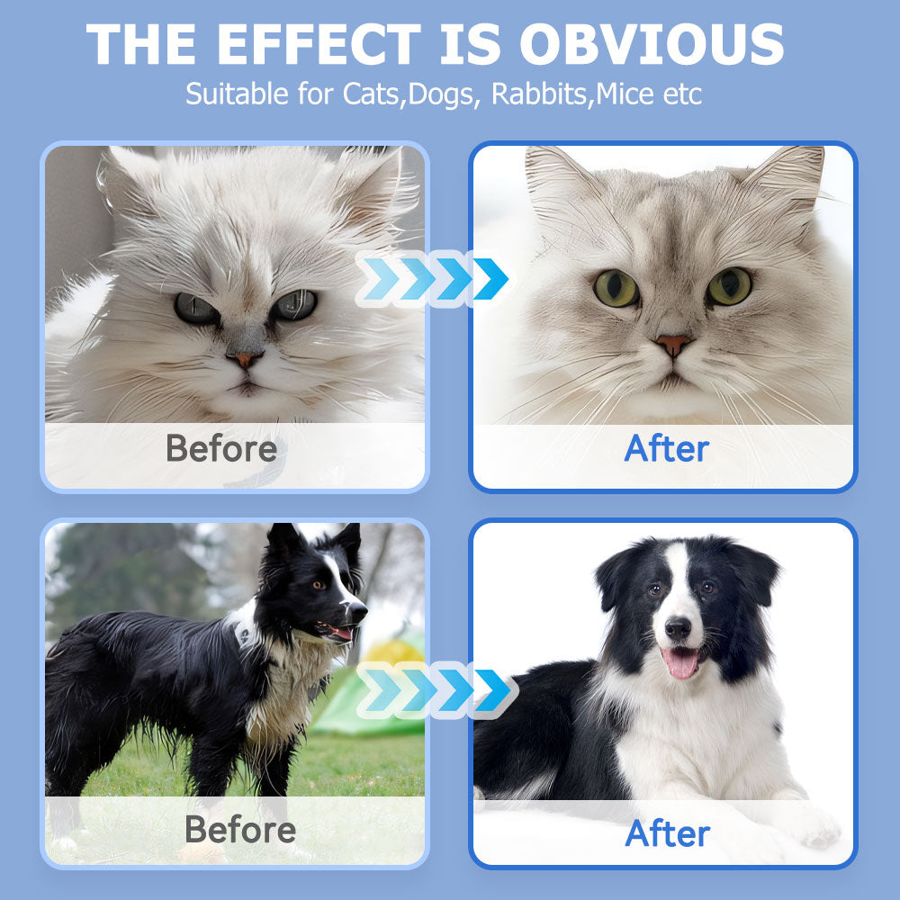 Cleaning Wipes Gloves for Dog and Cat,Pet Bathing Wipes Cleaning & Deodorizing,Dog Wipes for Body Paws Butt Daily Care,Cat Grooming Wipes Cleaning Fur Traveling Rinse Free,6Pcs-1Pack