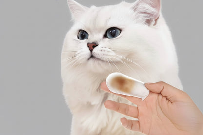 Finger Wipes Pet Cleaning Teeth Wipes Cat Dog Oral Calculus Teeth Cleaning Tartar Removing Finger Wipes Dog Brushcat Cleaning Su